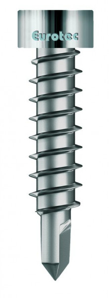 Eurotec Thermofixschraube Bohrspitze, Edelstahl gehärtet, TX20 - Größe: 4,2 x 22 mm - Menge: 100 Stü